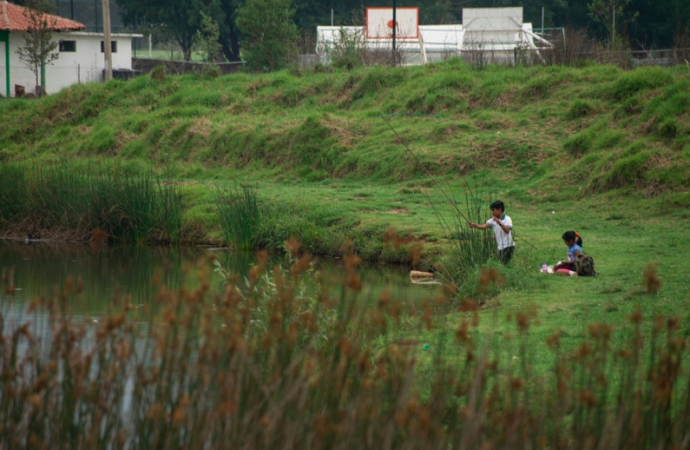 Intentan retener a funcionarios del sector ambiental en Chiapas