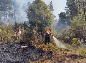 Se han registrado un total de 16 incendios forestales activos en Veracruz debido a las altas temperaturas en el estado y el resto del país.