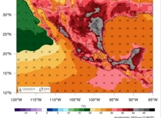 Las autoridades han mandado una alerta general a la población para que se cuide de la ola de calor que azota México