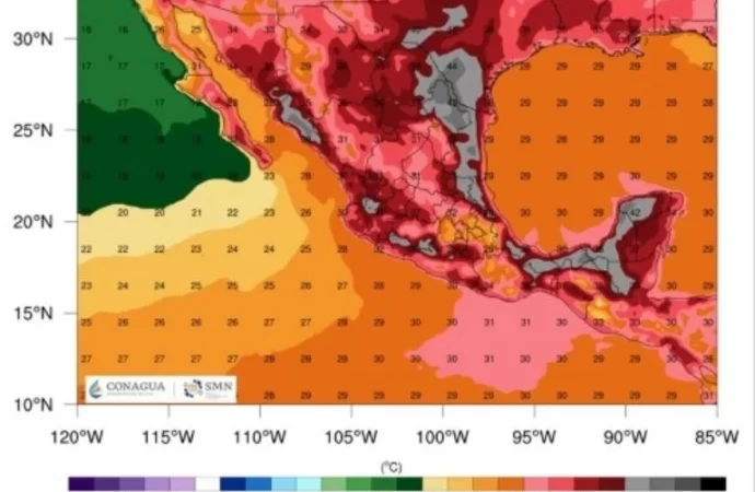 Las autoridades han mandado una alerta general a la población para que se cuide de la ola de calor que azota México