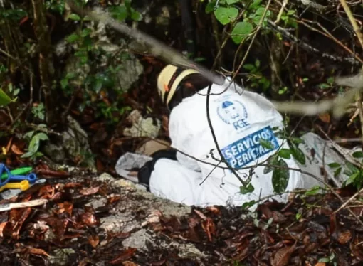 Siete osamentas humanas fueron halladas en Quintana Roo durante un operativo de búsqueda.