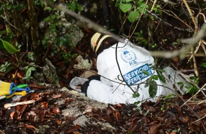 Siete osamentas humanas fueron halladas en Quintana Roo durante un operativo de búsqueda.