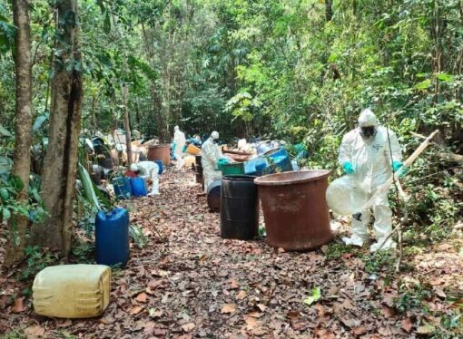 Laboratorio clandestino para la producción de drogas sintéticas en medio de la selva maya, en Quintana Roo.