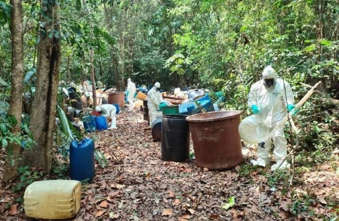 Laboratorio clandestino para la producción de drogas sintéticas en medio de la selva maya, en Quintana Roo.