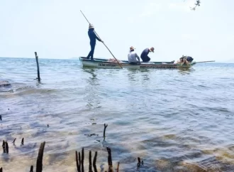 “Aparecieron muchos peces muertos” en Juchitán. Los pescadores atribuyen el hecho a las altas temperaturas