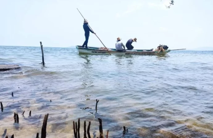 “Aparecieron muchos peces muertos” en Juchitán. Los pescadores atribuyen el hecho a las altas temperaturas