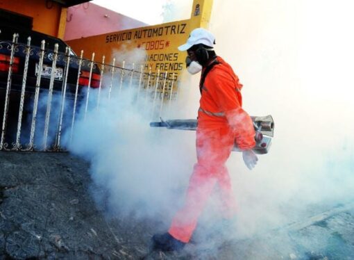 Alerta Nacional, brote de dengue alerta a la población de Campeche