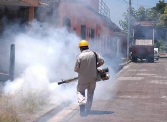 Casos de dengue al día de hoy en Veracruz