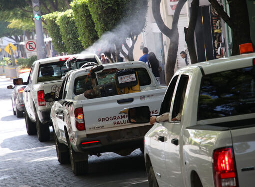 Oaxaca suma su ayuda a Puebla para combatir la plaga de dengue