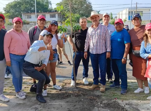 Ayudan a reforestar la carretera México-Oaxaca