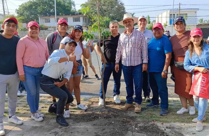 Ayudan a reforestar la carretera México-Oaxaca