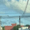 Plagas de langostas invadieron el cielo de Yucatán, ¿qué significa esto?