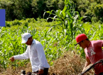 La temporada de sequías en Yucatán, causará un impacto negativo en las actividades de los campesinos