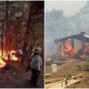 Controlan incendio forestal de gran magnitud en la sierra norte de Oaxaca