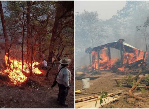 Controlan incendio forestal de gran magnitud en la sierra norte de Oaxaca