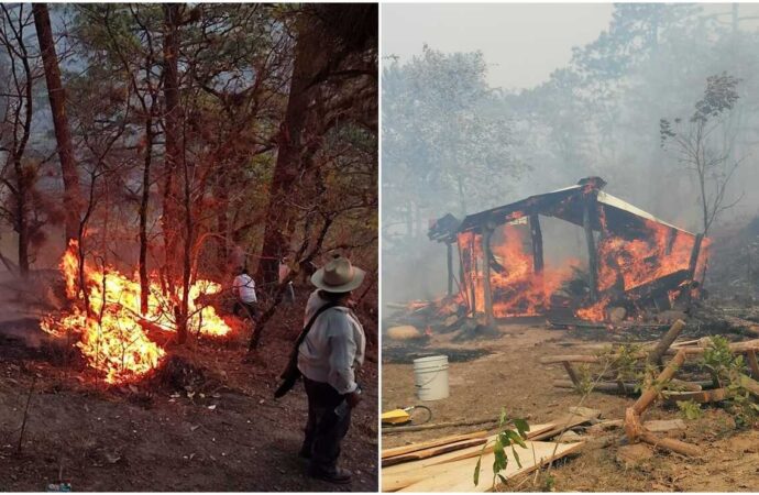 Controlan incendio forestal de gran magnitud en la sierra norte de Oaxaca